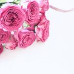 今日はあの人？！の誕生日